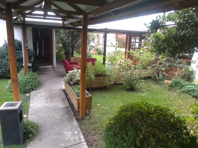 Jardín y patio de Hotel Ventura
