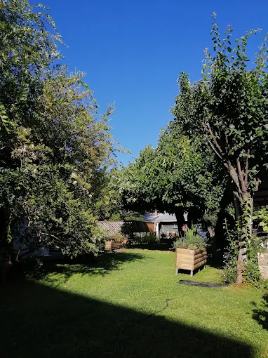 Jardín de Hotel Ventura